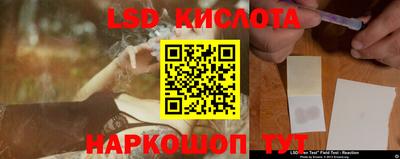 шишки Тверь