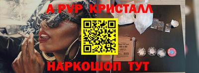 шишки Тверь