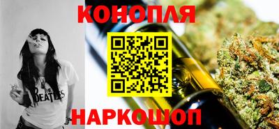 шишки Тверь