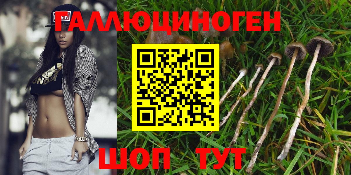 Галлюциногенные грибы ЛСД Кстово